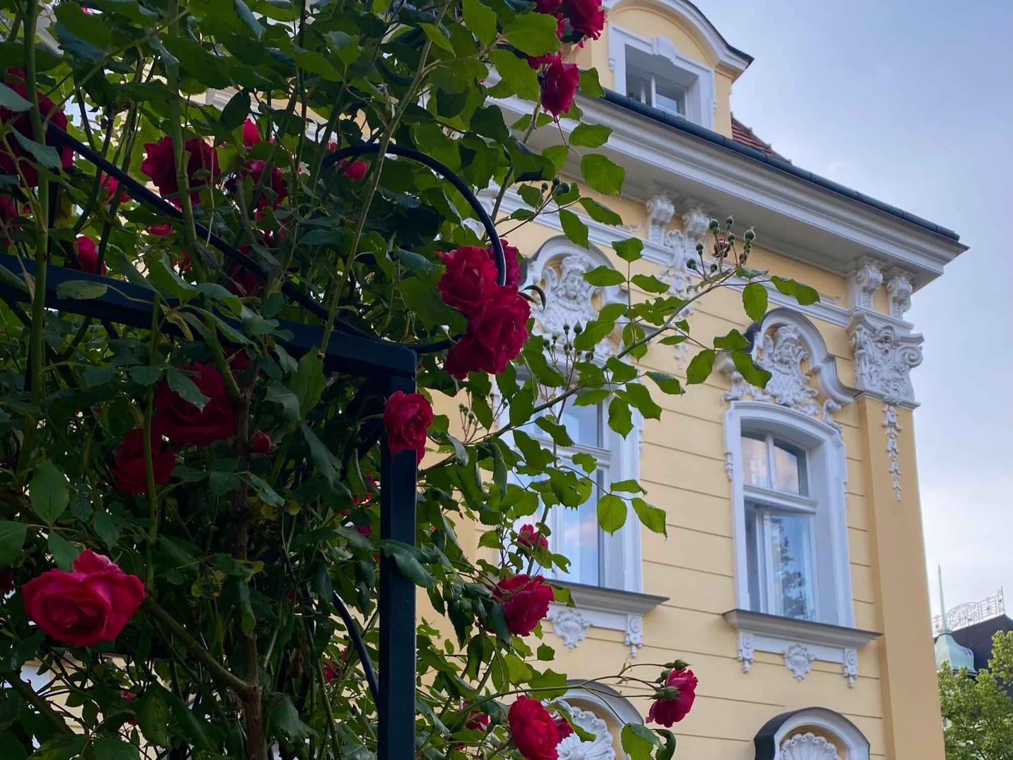 Apartamento Salve Teplice Exterior foto